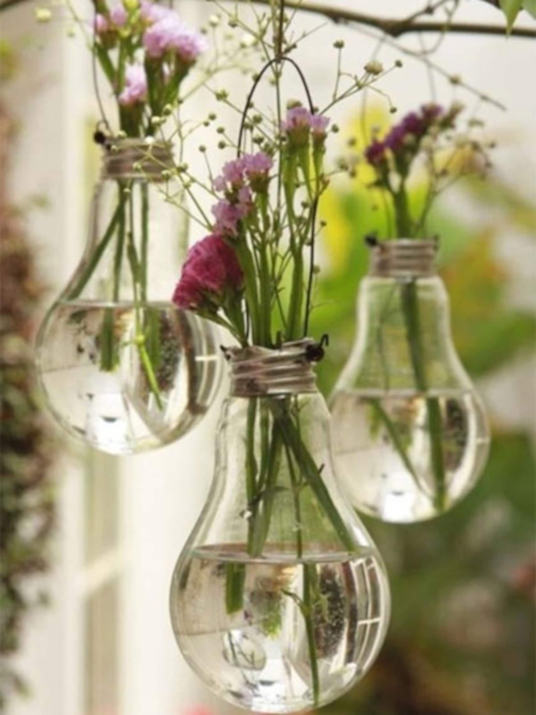 planten in een gloeilamp