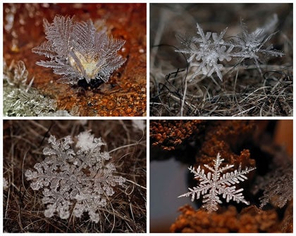 beeld vtwonen Sneeuwkristallen