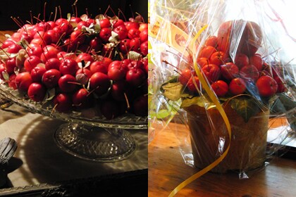 Malus appeltjes Malus appeltjes