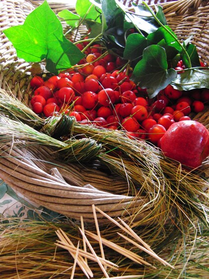 Malus krans benodigdheden Malus krans benodigdheden
