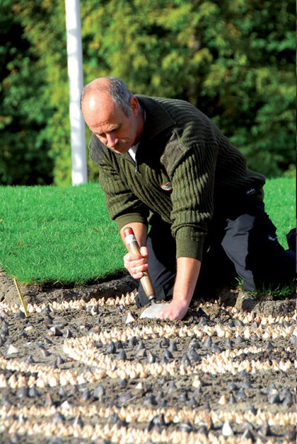 Bollen planten Keukenhof Bollen planten Keukenhof