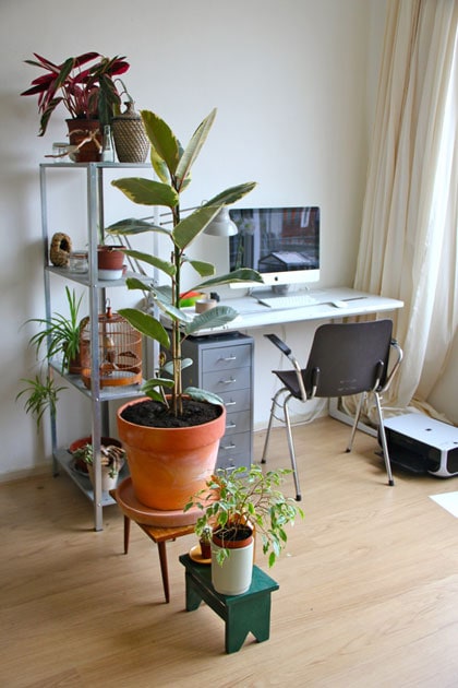 Plantenasiel Plantenasiel