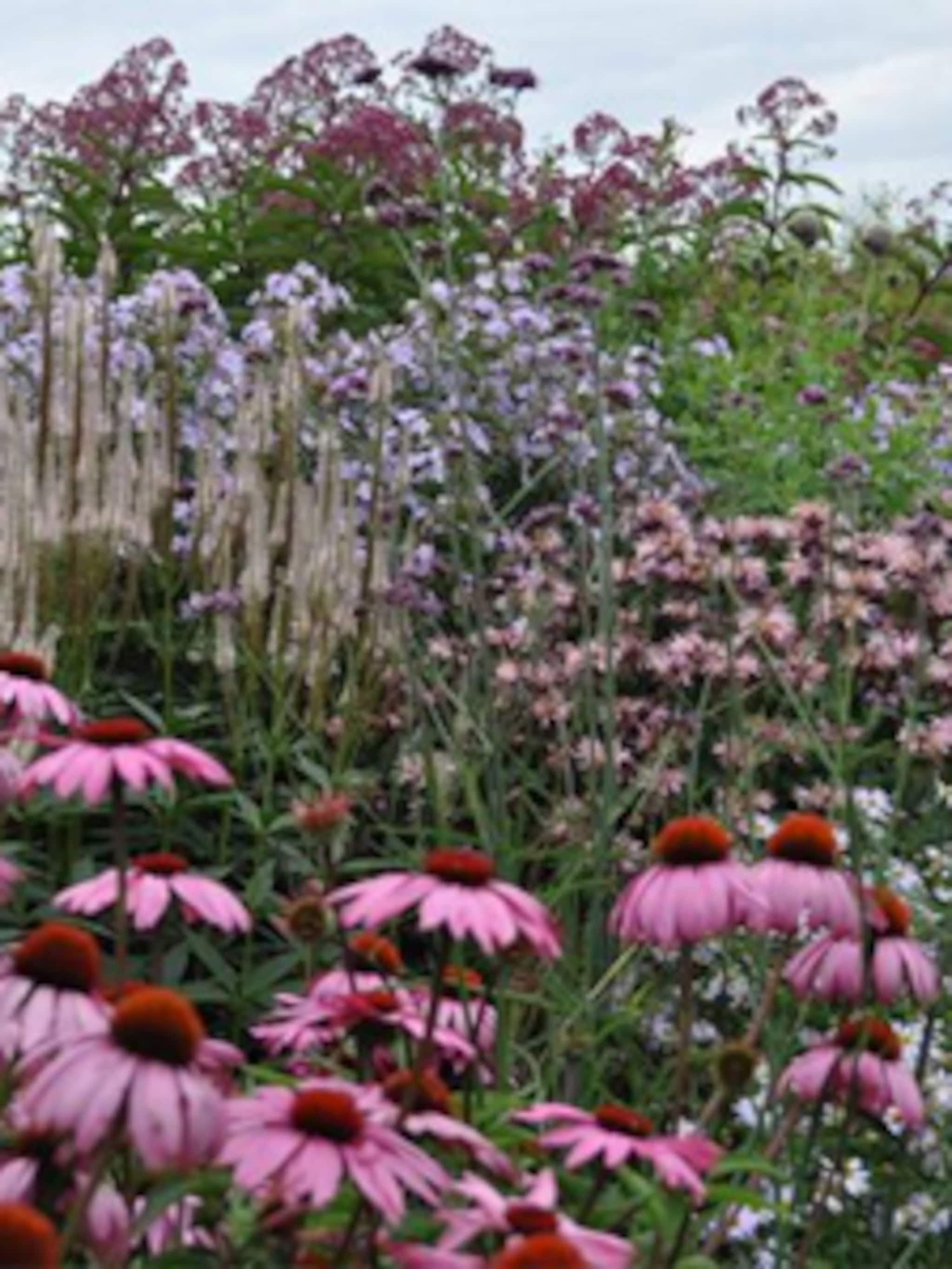 tuinblog landseinde