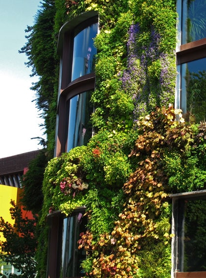 beeld vtwonen Groene muren