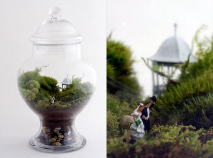 beeld vtwonen Miniatuurtuin - Twig Terrariums