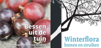 beeld vtwonen