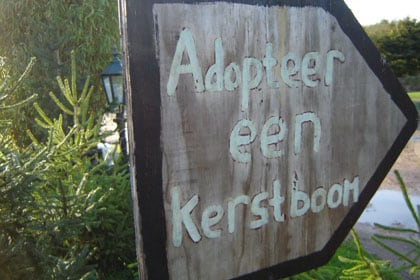 beeld vtwonen Adopteer kerstboom