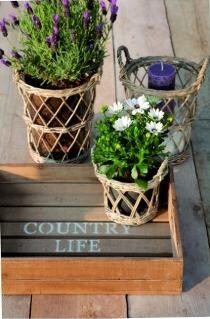 beeld vtwonen Tuincetrum Life &amp; Garden