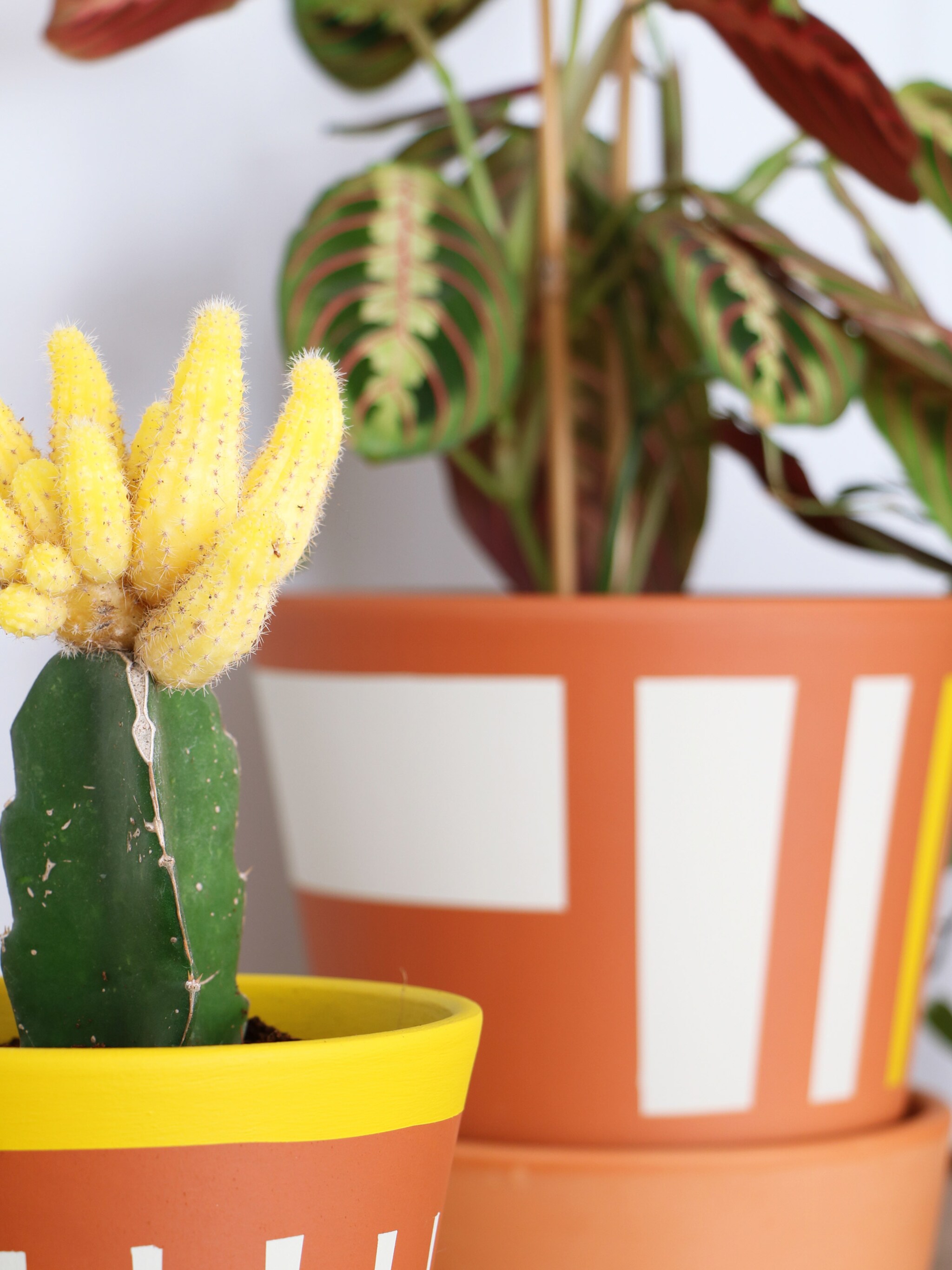 diy bloempotten