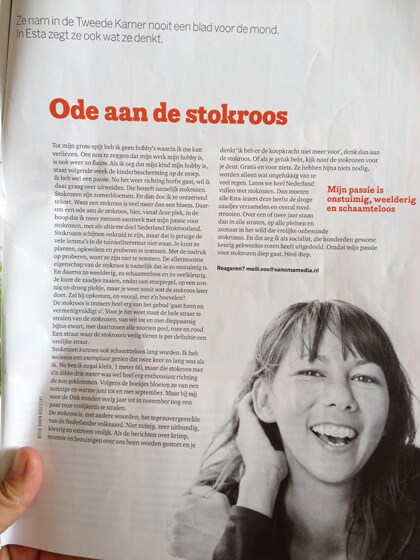 Blog Manon tuinieren is tuttig