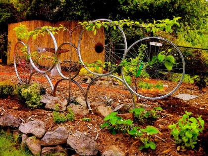 beeld vtwonen Trellis van fietswielen
