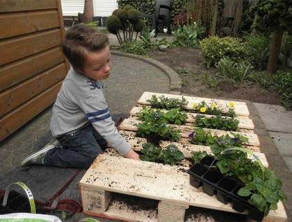 Pallet tuin van Wilma Aalpoel