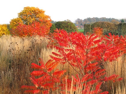 beeld vtwonen Tuin van Oudolf