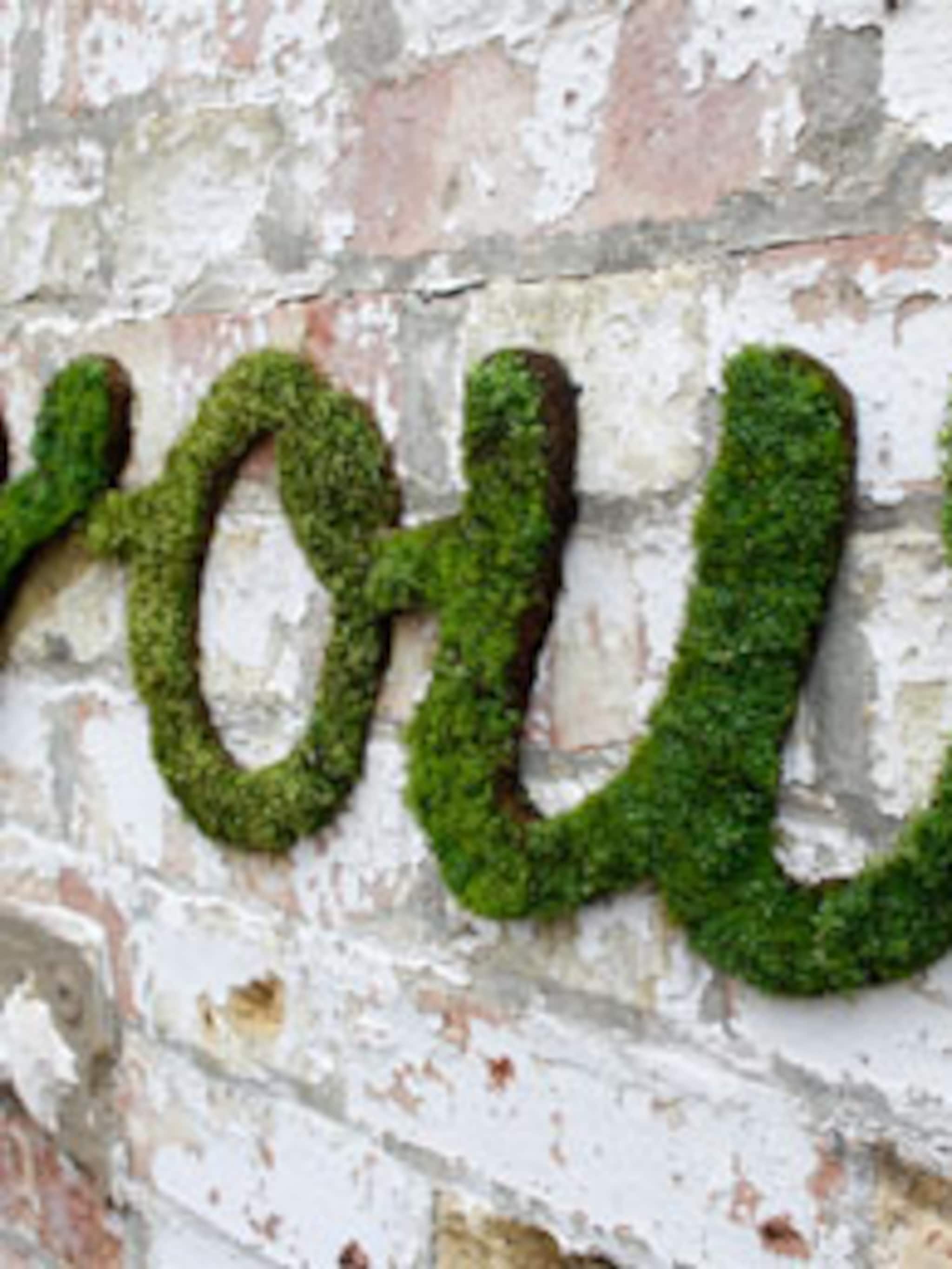 letters van mos