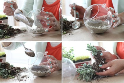 Terrarium maken