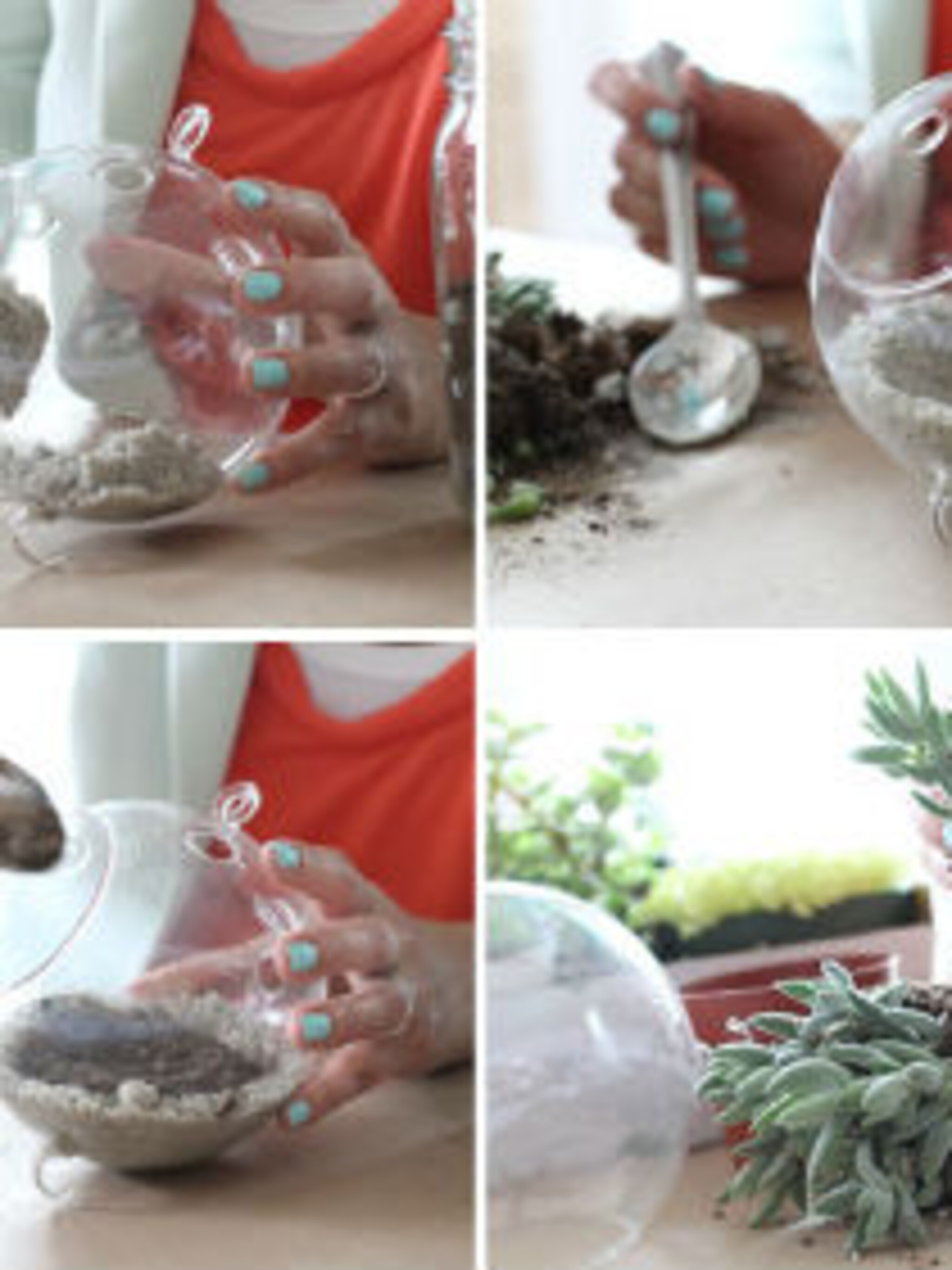 terrarium maken