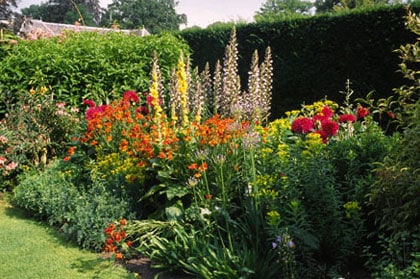 beeld vtwonen Wiersse border