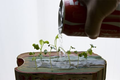 beeld vtwonen Zaaien in boeken: water geven