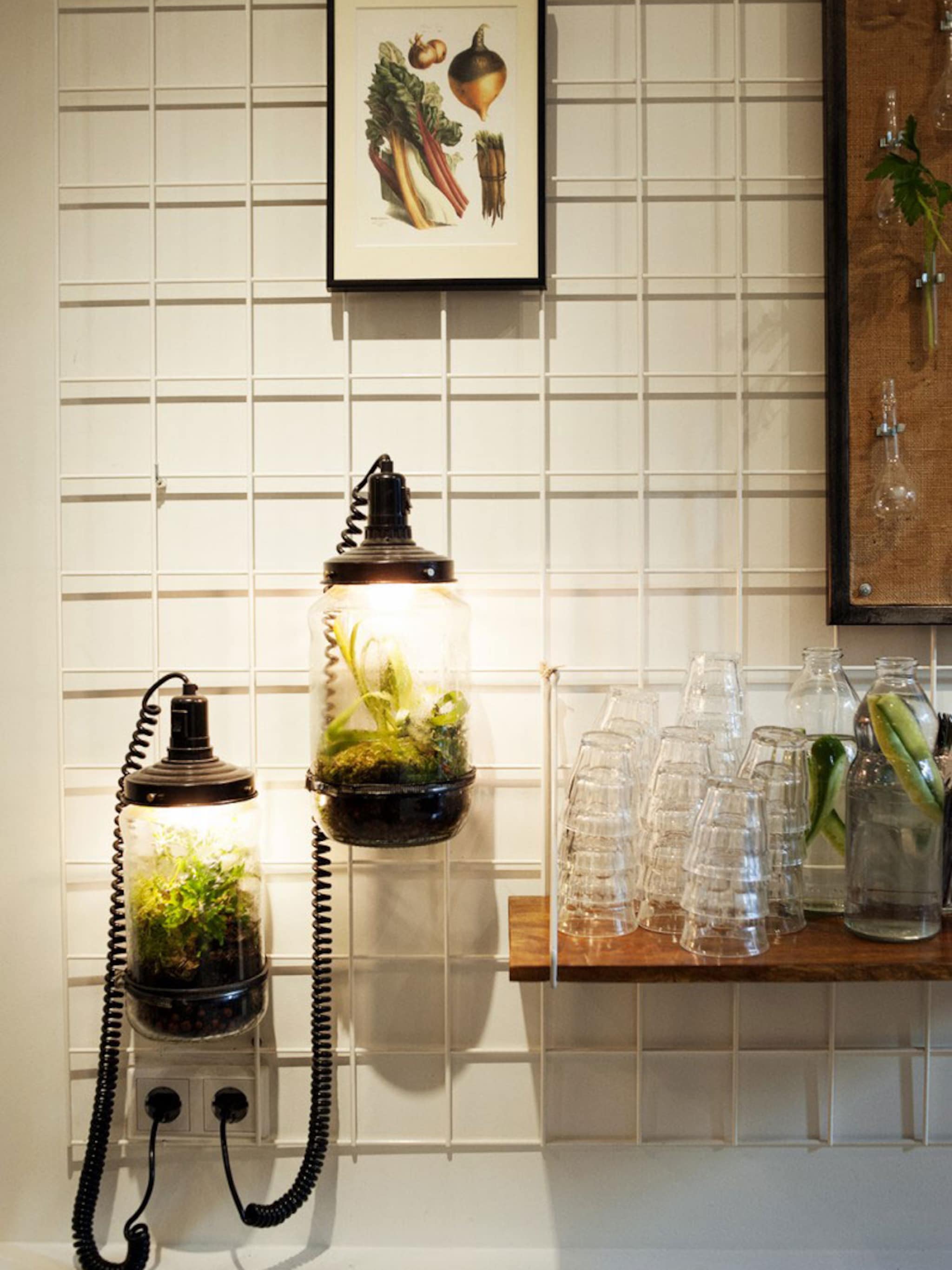 sustainable worlds plantenlamp in een glazen pot
