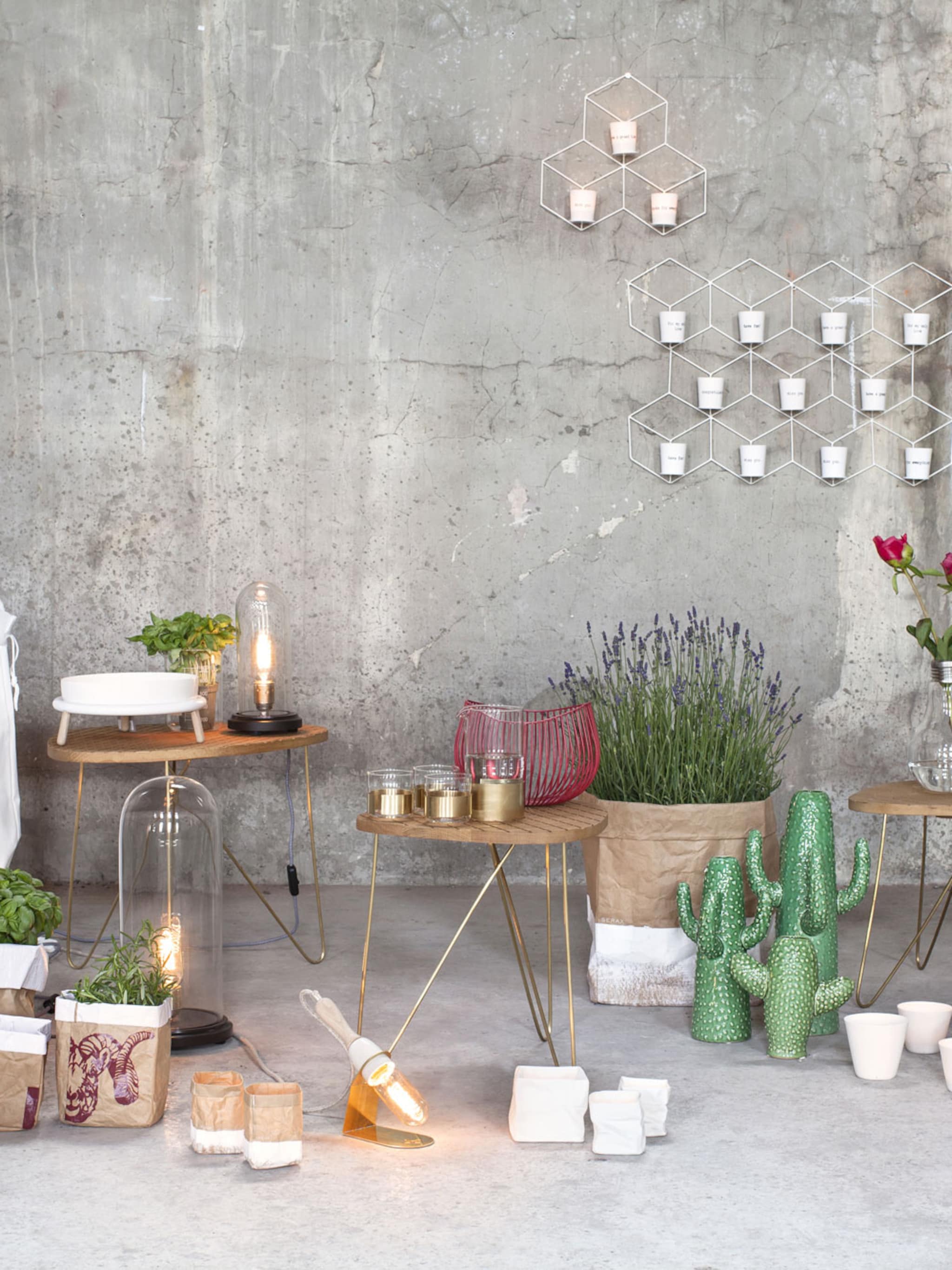 we love dutch design
