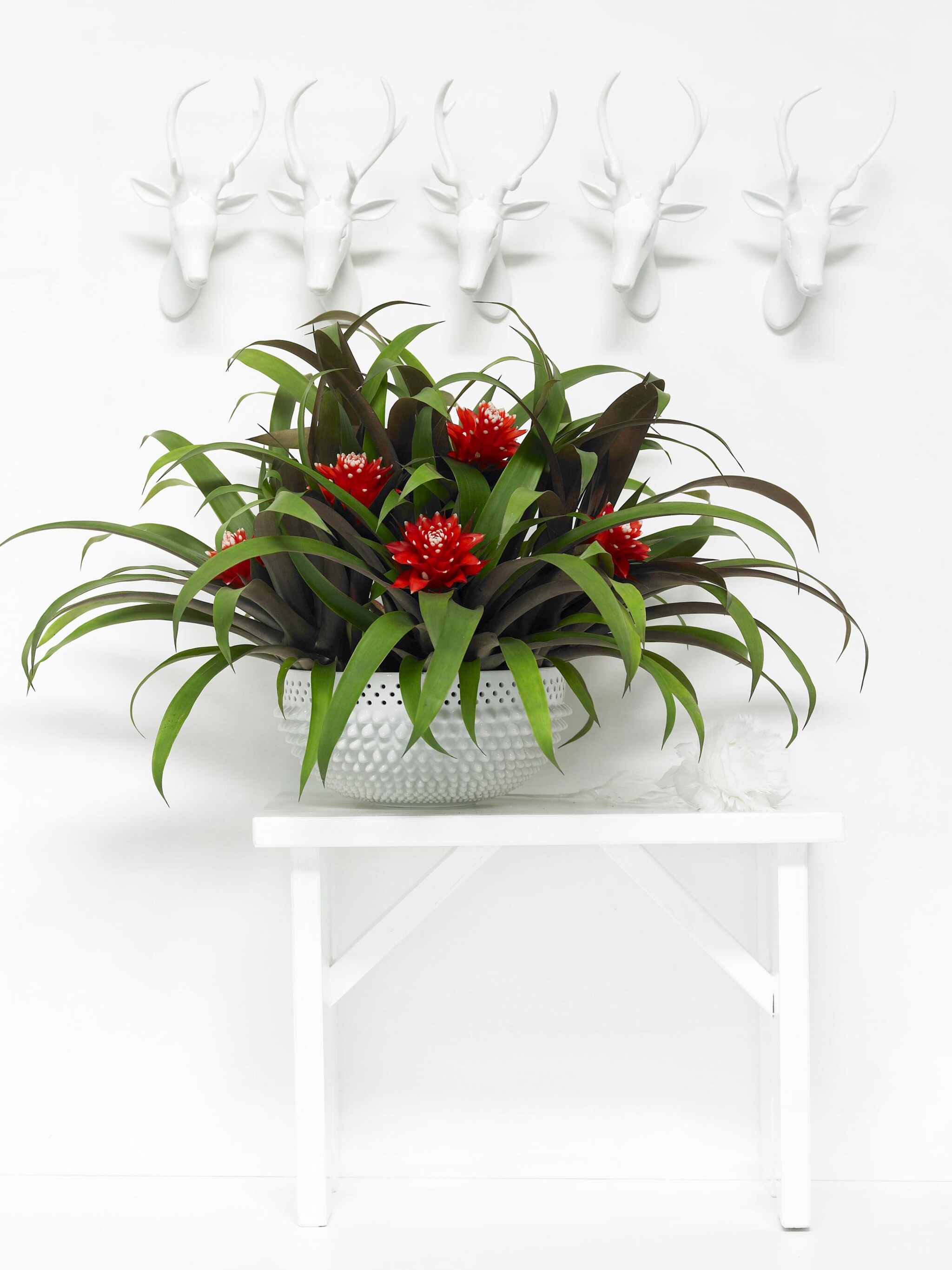 4x kerst met een twist
