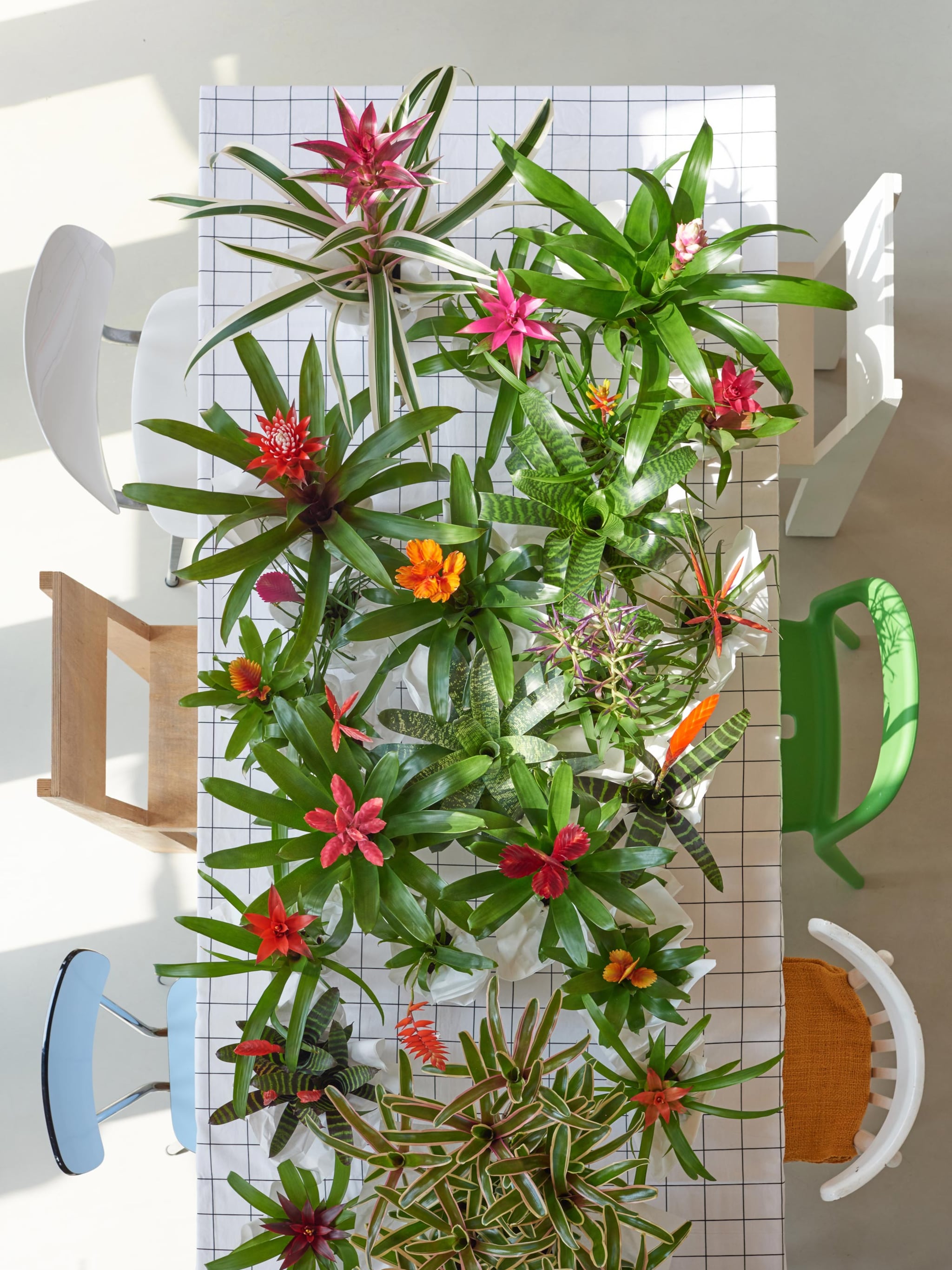 de leukste groenaccessoires