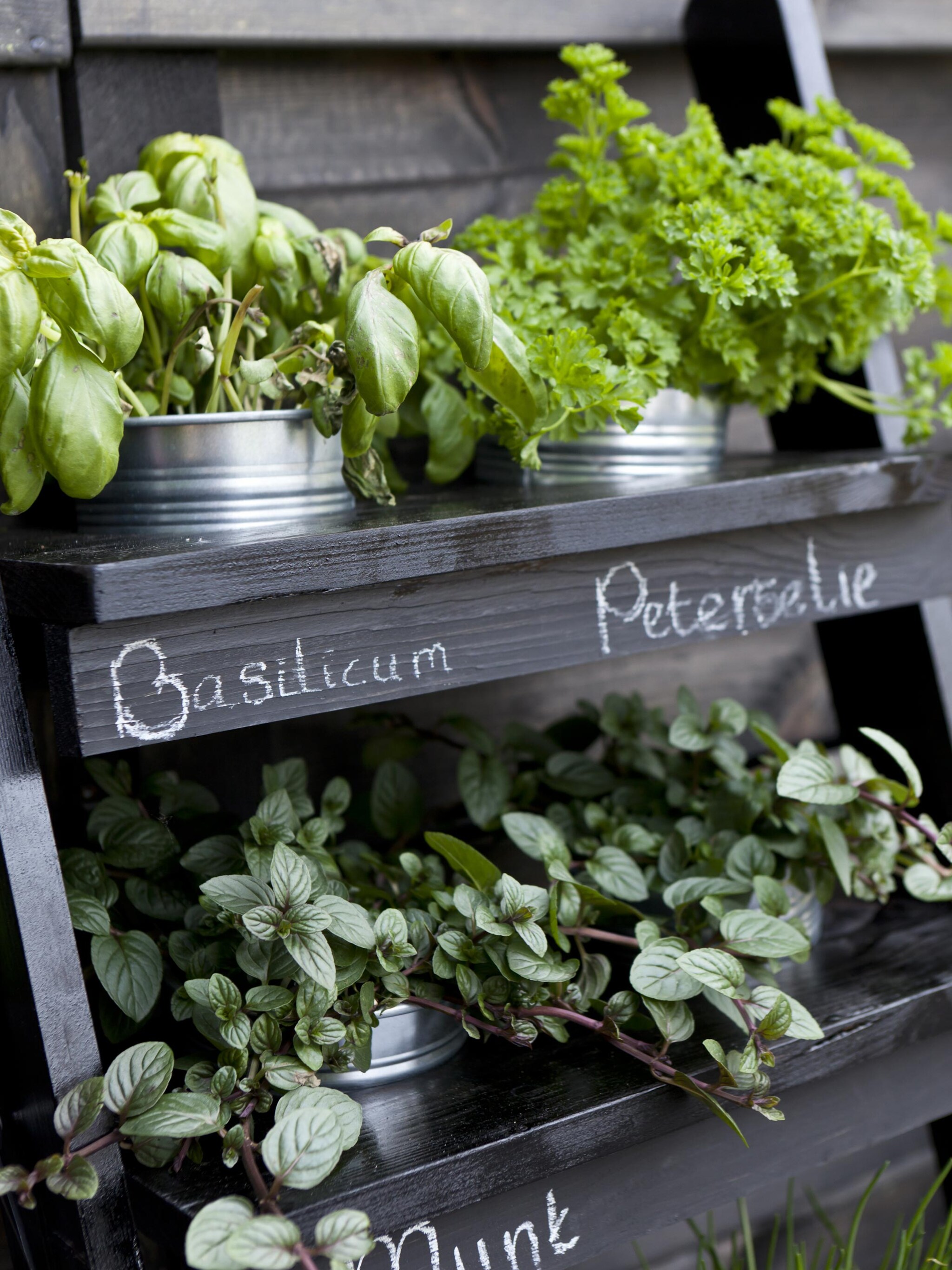 diy verticale kruidentuin