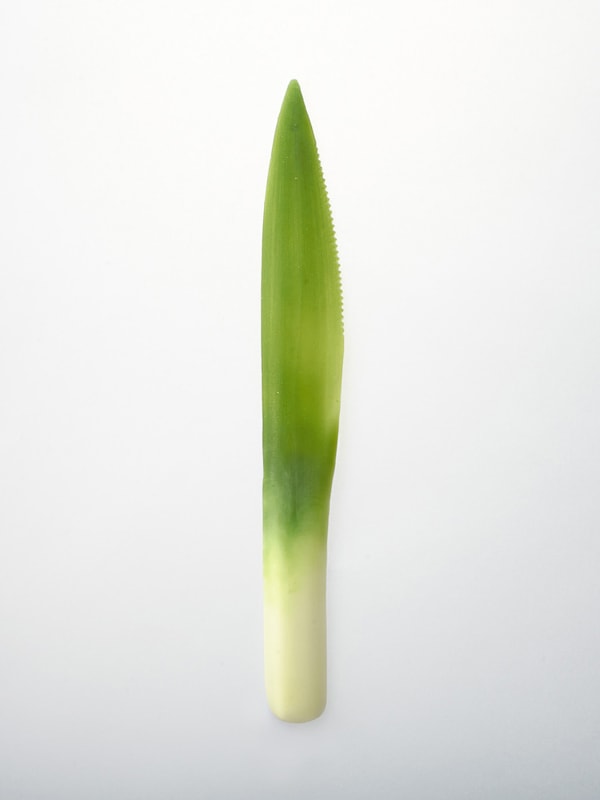 beeld vtwonen