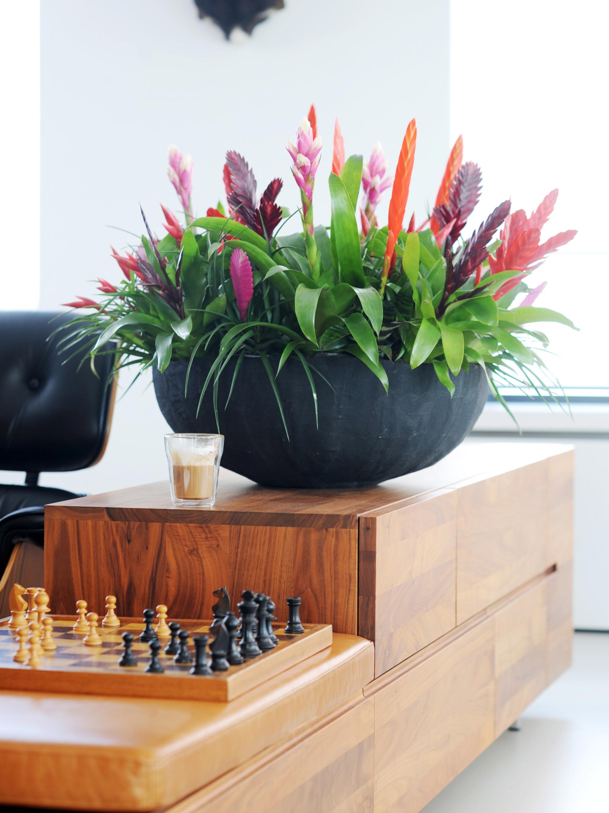 stoere planten voor mannen