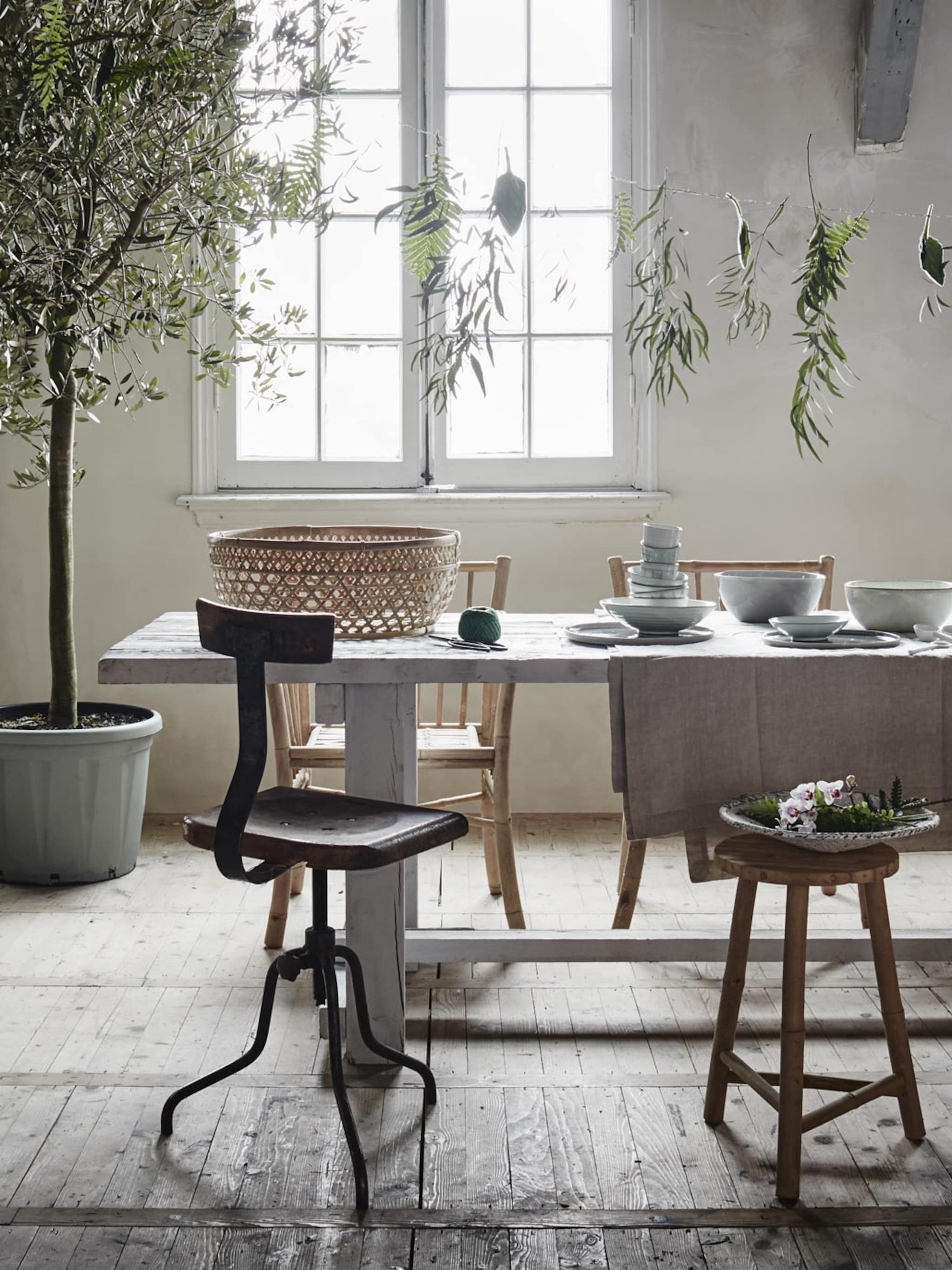 botanisch huis van tropisch zitparadijs tot engelse serre