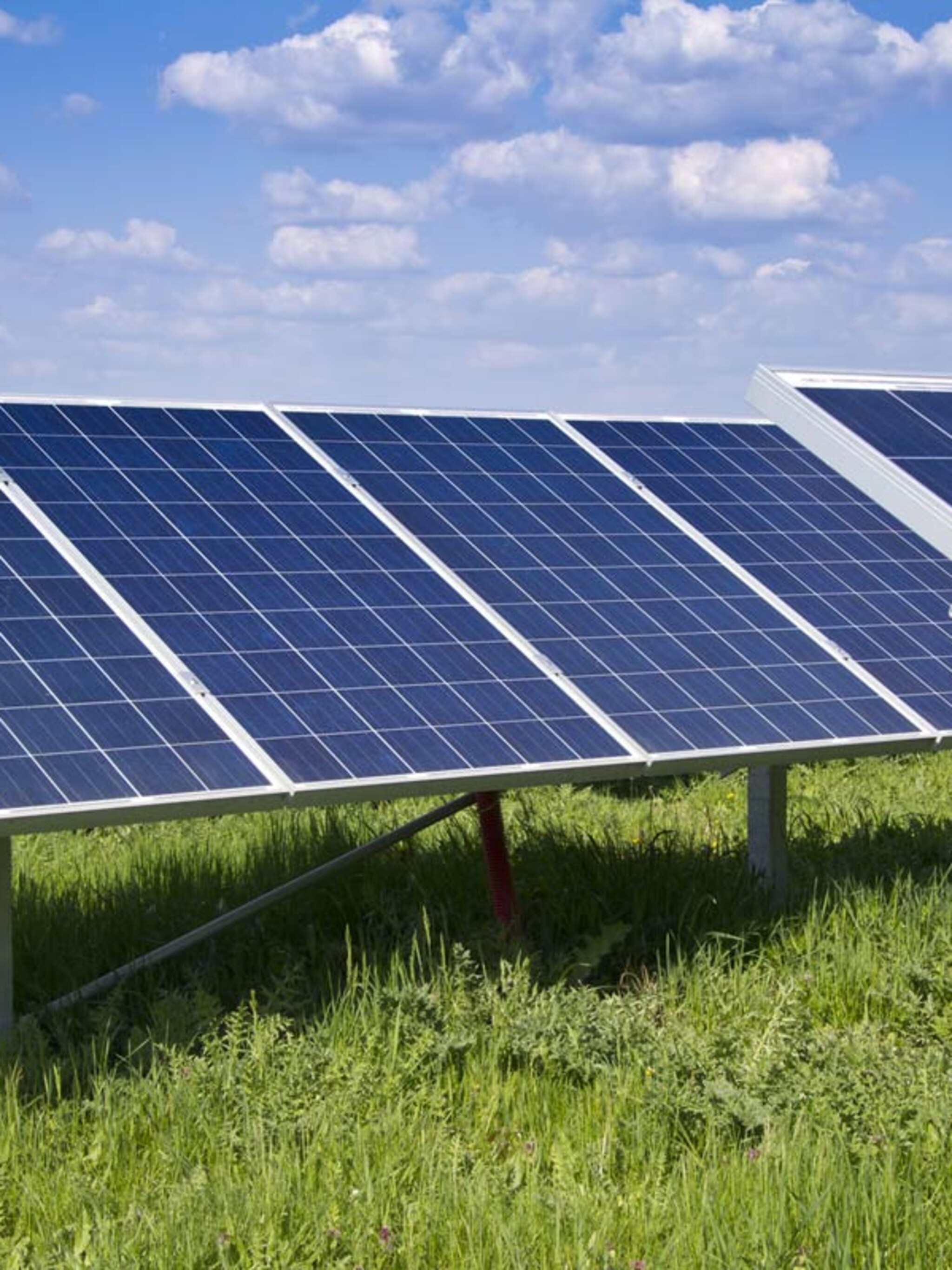 nadelen zonnepanelen