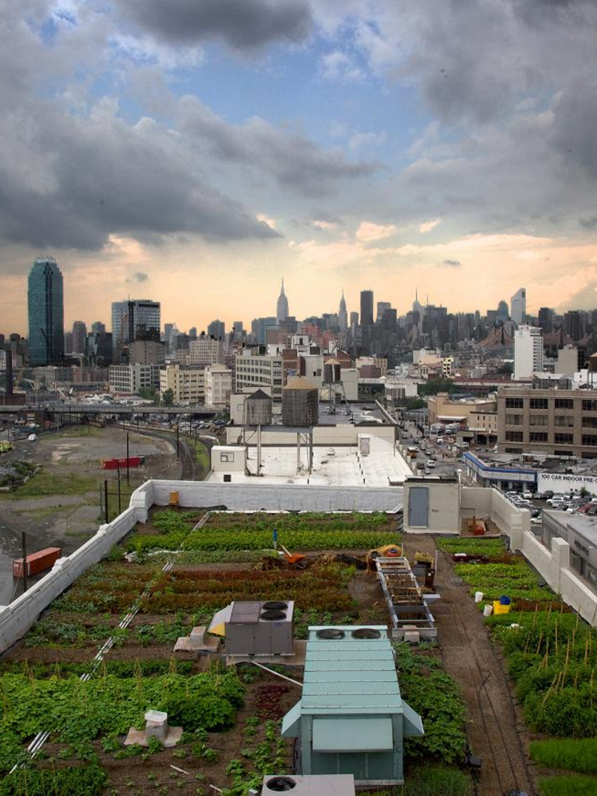 urban farming