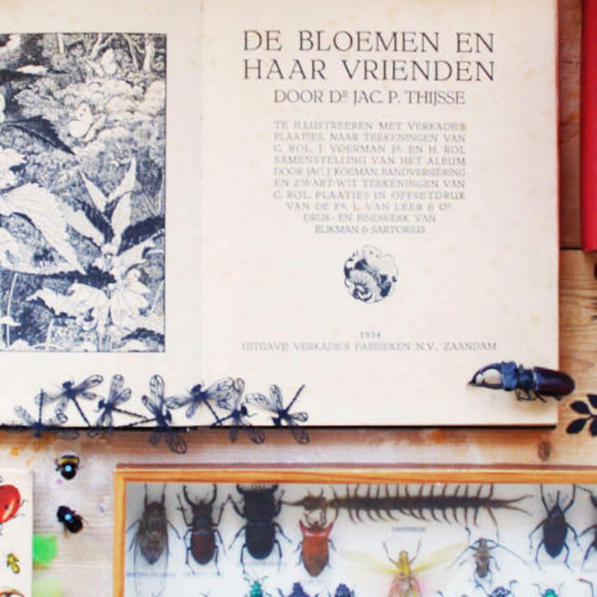 zelf een papercut maken een insect