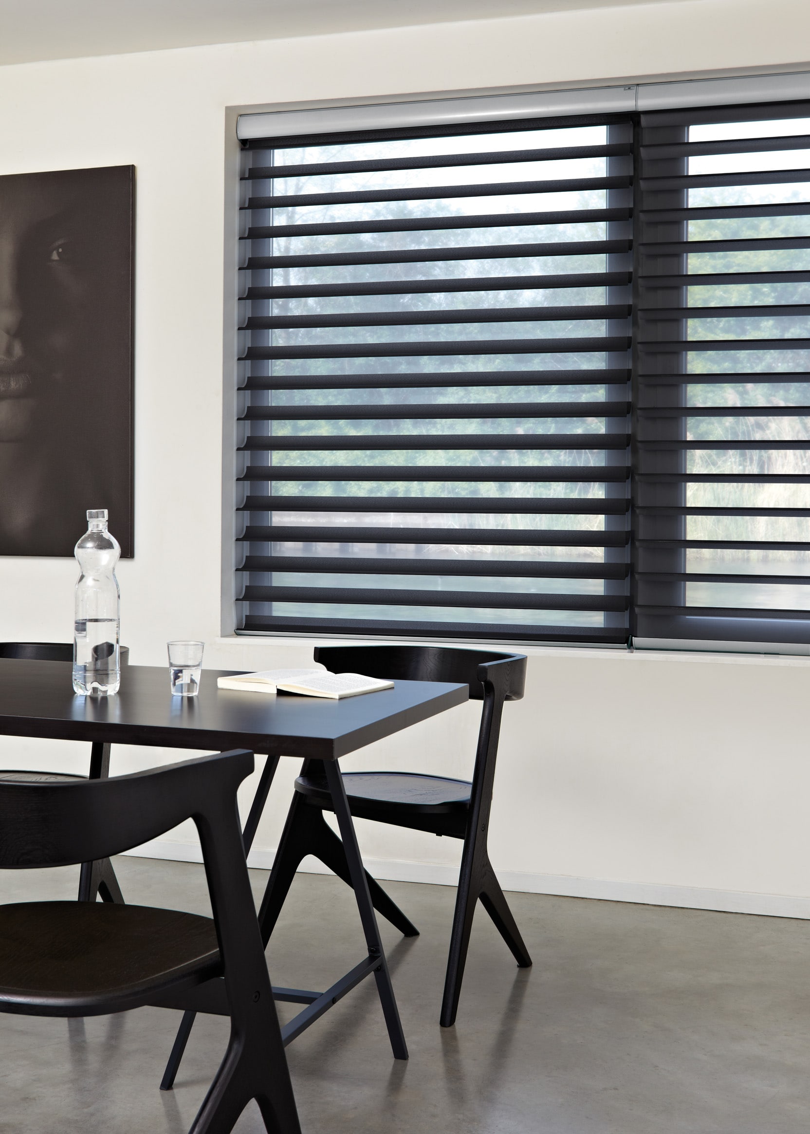 Luxaflex Silhouette® Shades