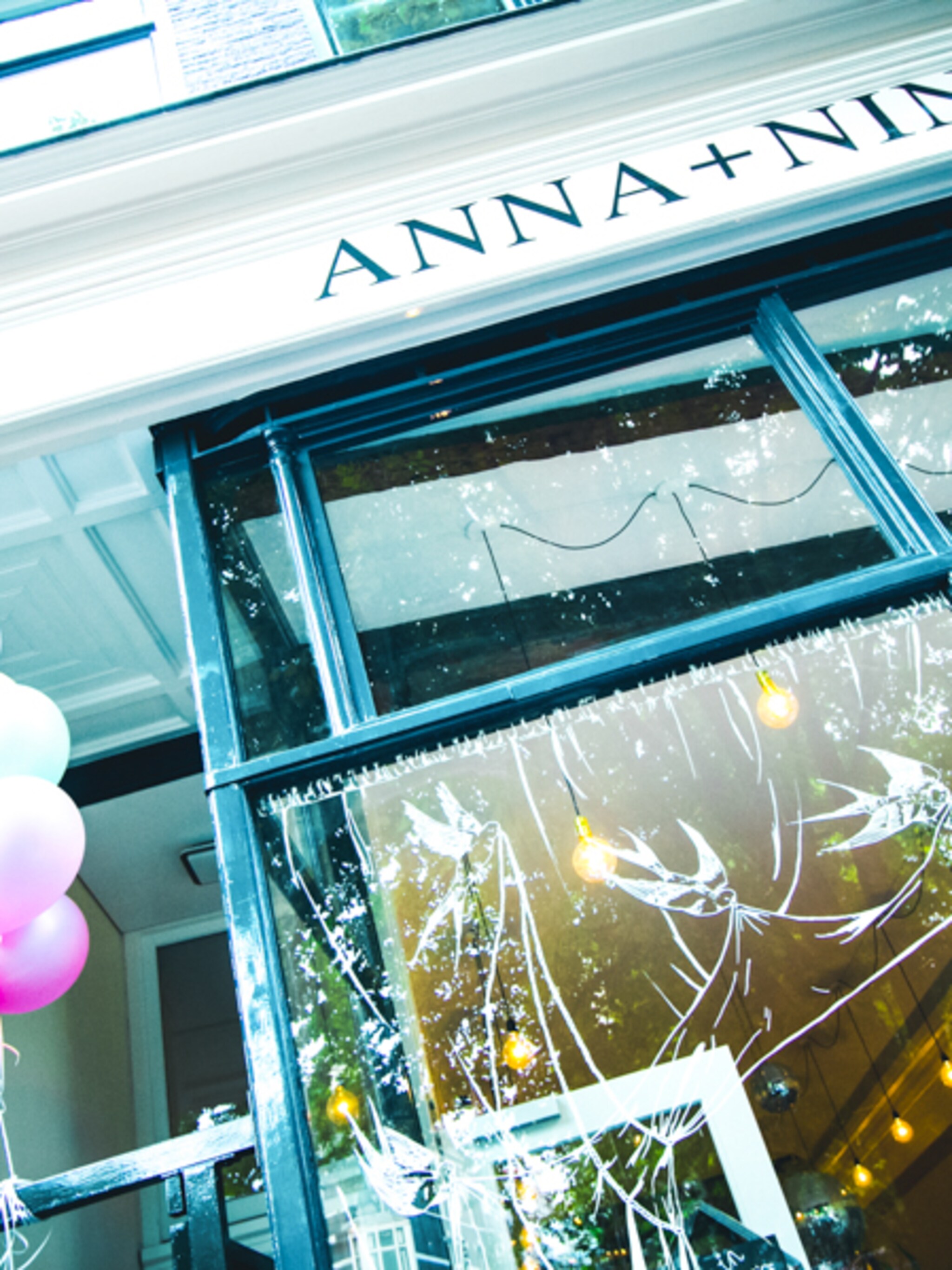 department store anna nina