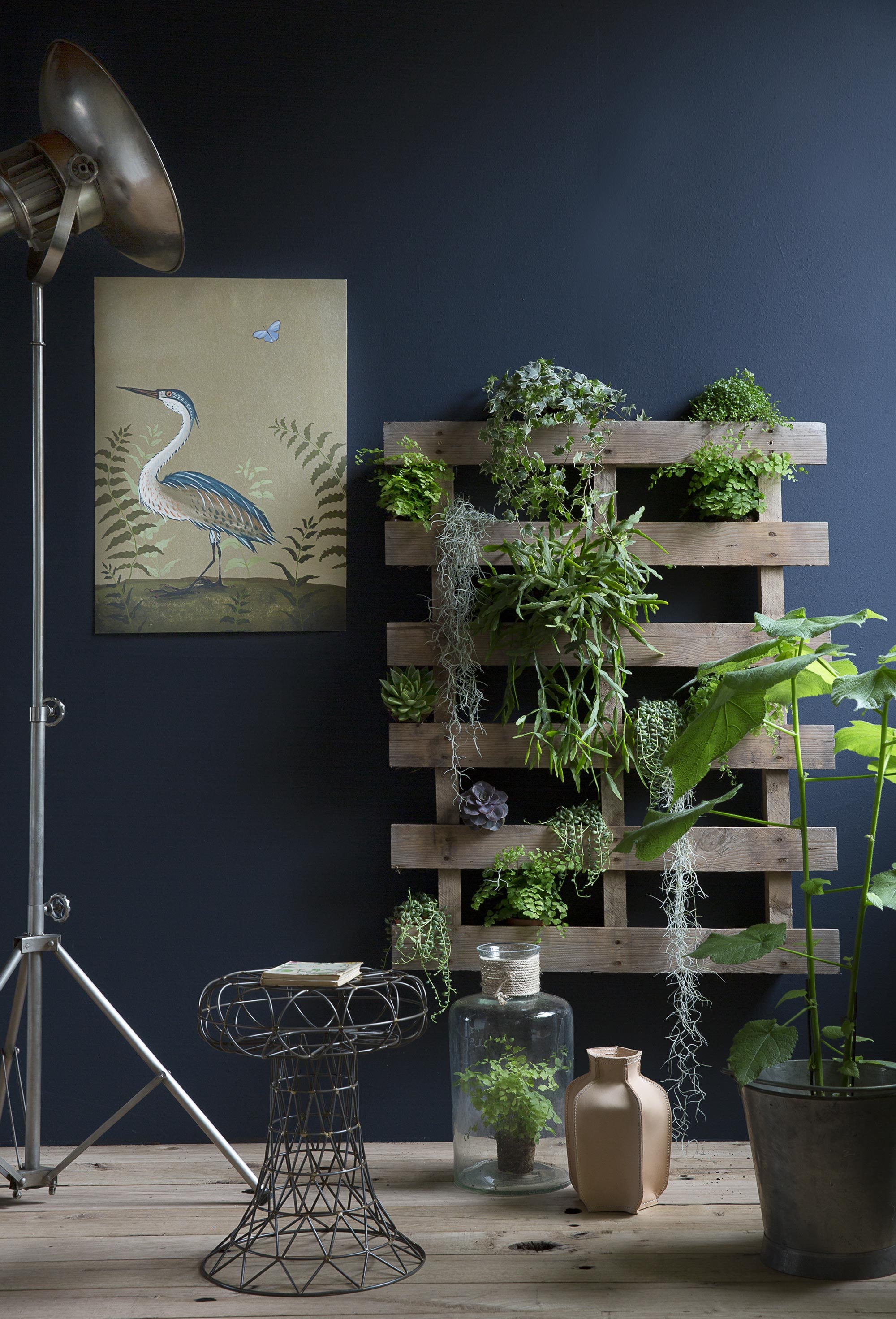 Muurverf S5040-R90B per liter € 14,- (Histor). Houten vloerdelen per m² € 27,50 (De Oude Plank). Handgeschilderd behang met vogel per meter vanaf € 60,- (Snijder &amp; Co). Draadkruk € 199,-, lamp € 285,- (Pols Potten). Glazen pot € 37,50 (Raw Materials). Leren vaas natural € 155,- (Studio Roex). Gietijzeren emmer € 12,50 (Van Dijk &amp; Ko). De plant is een kamerlinde. vtwonen 03-2015 | Fotografie Anouk de Kleermaeker | Styling Leonie Mooren, Bregje Nix