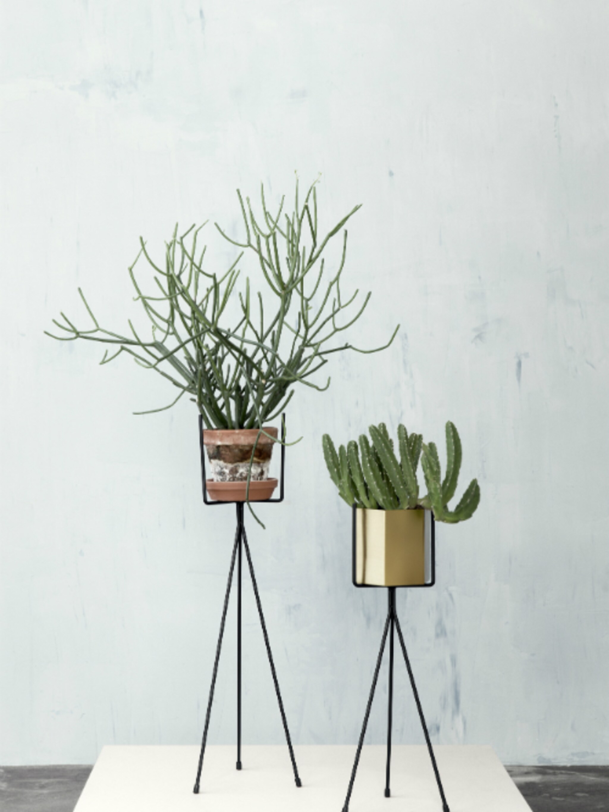 nieuw van ferm living