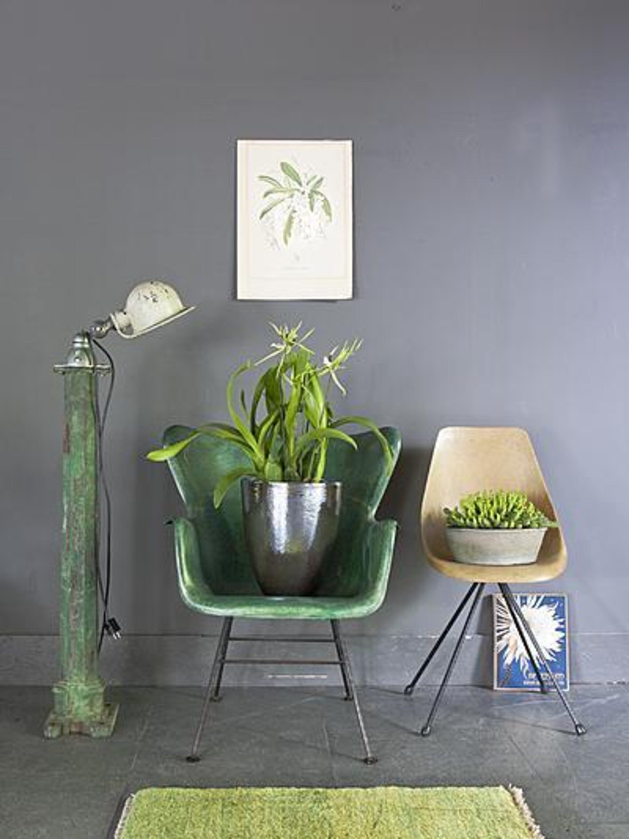 levend groen in huis