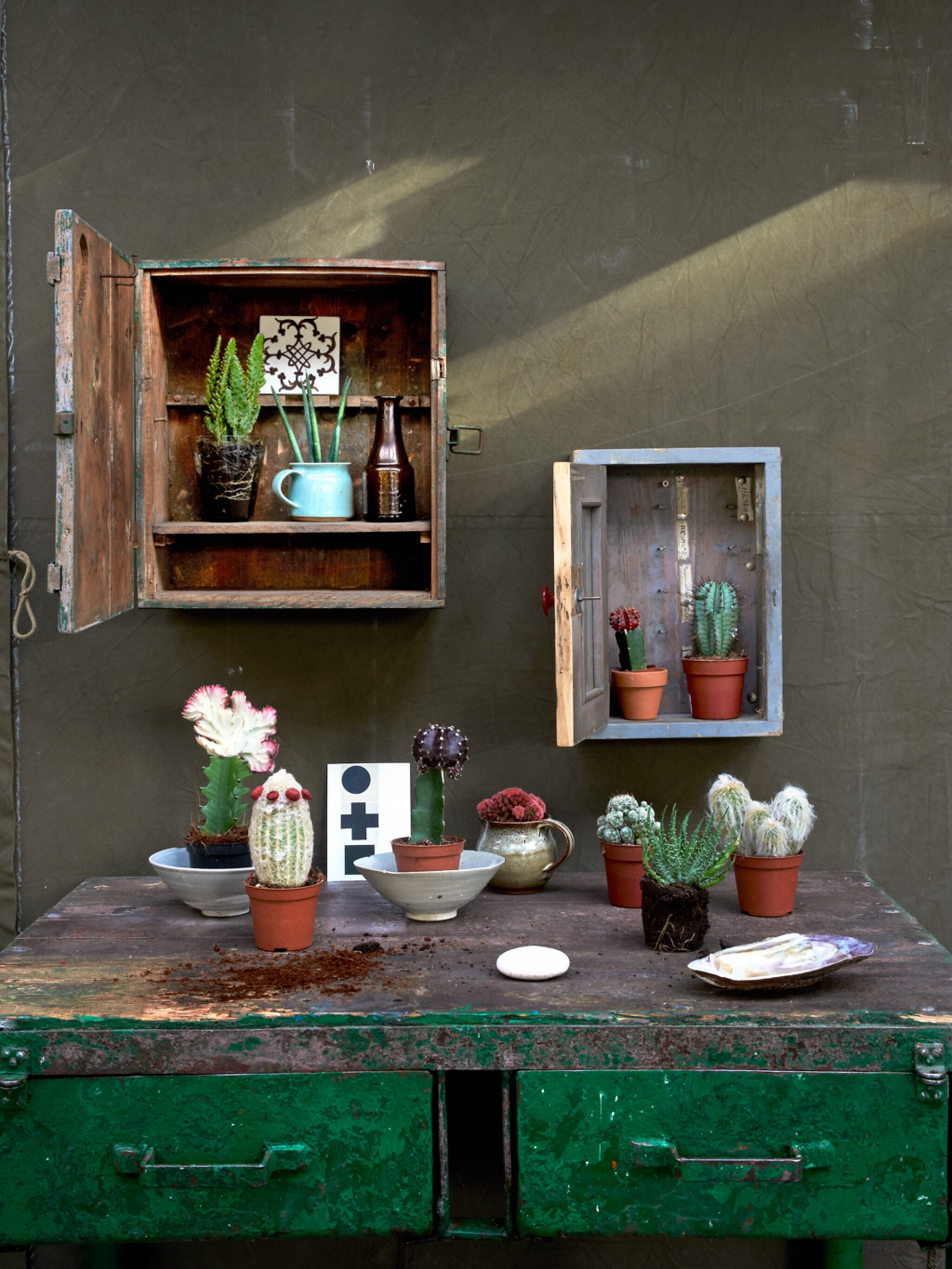 planten in hangkastjes