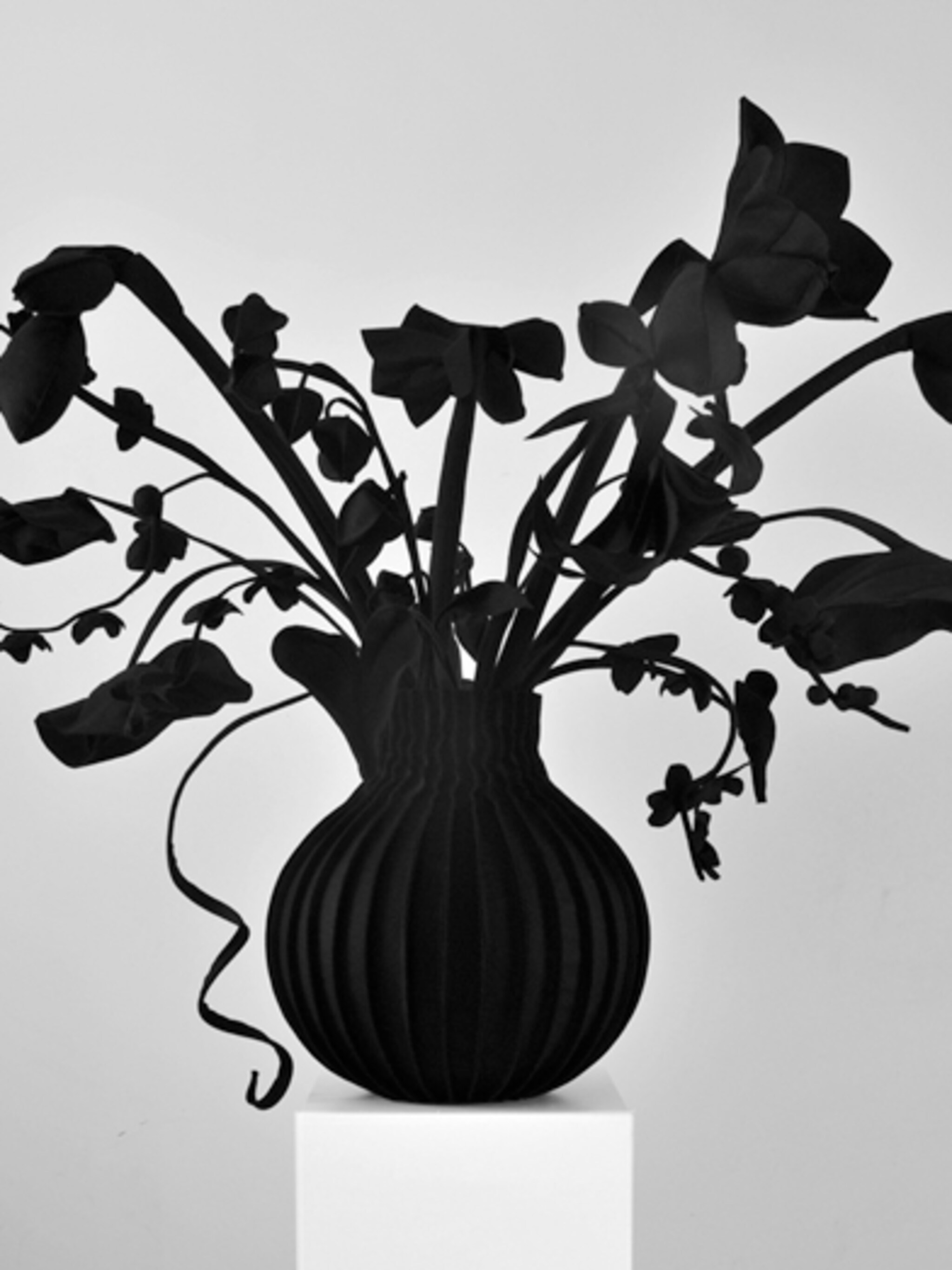 plant van vilt
