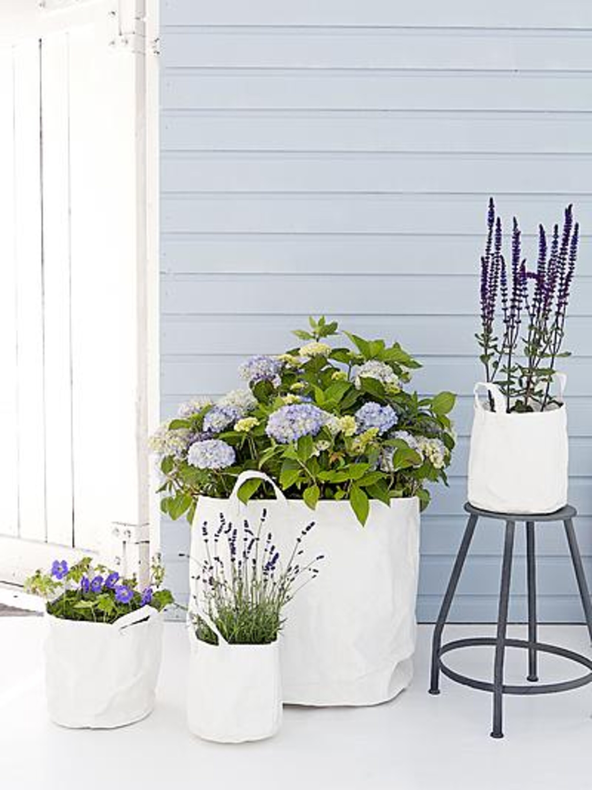 plantentas cadeautje voor je plant