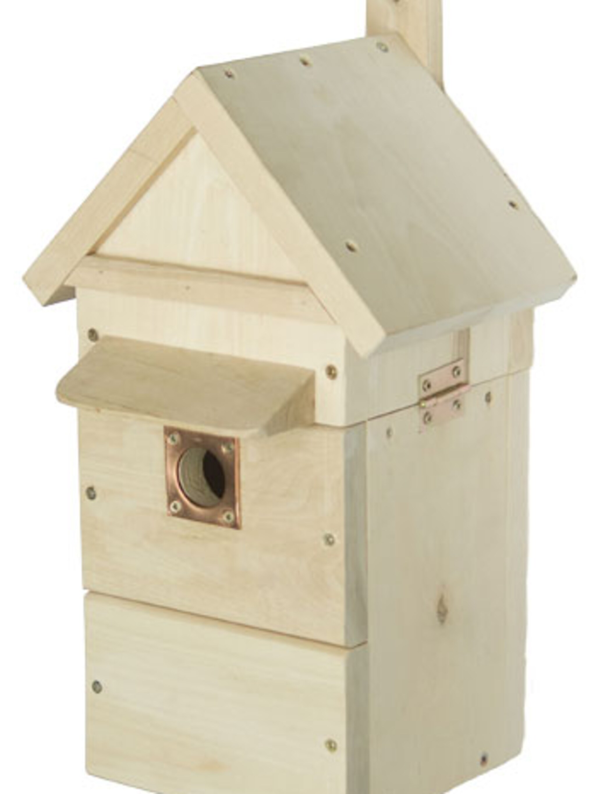 tof volg de vogels in dit vogelhuisje met camera