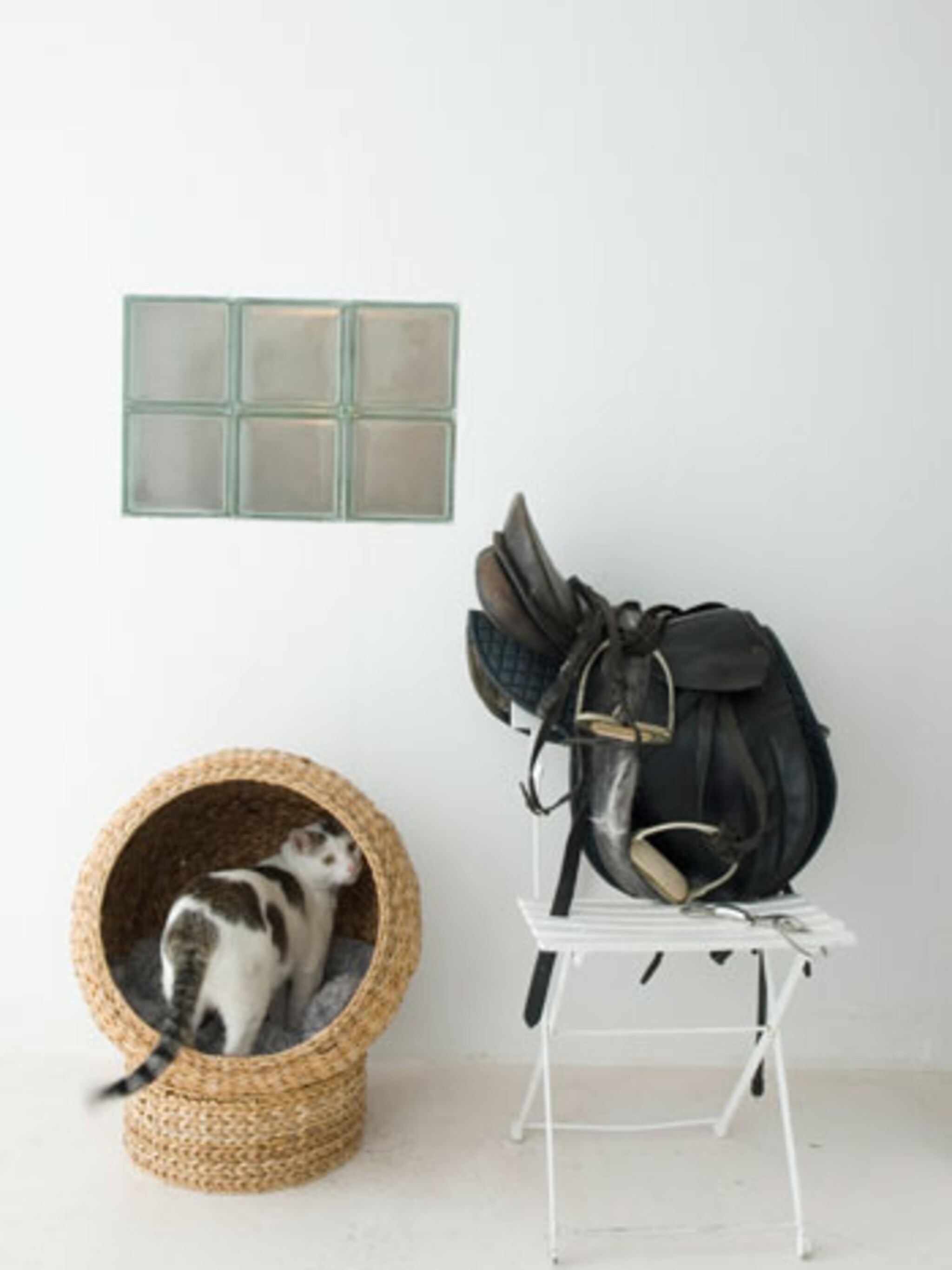 kattenmand in stijl