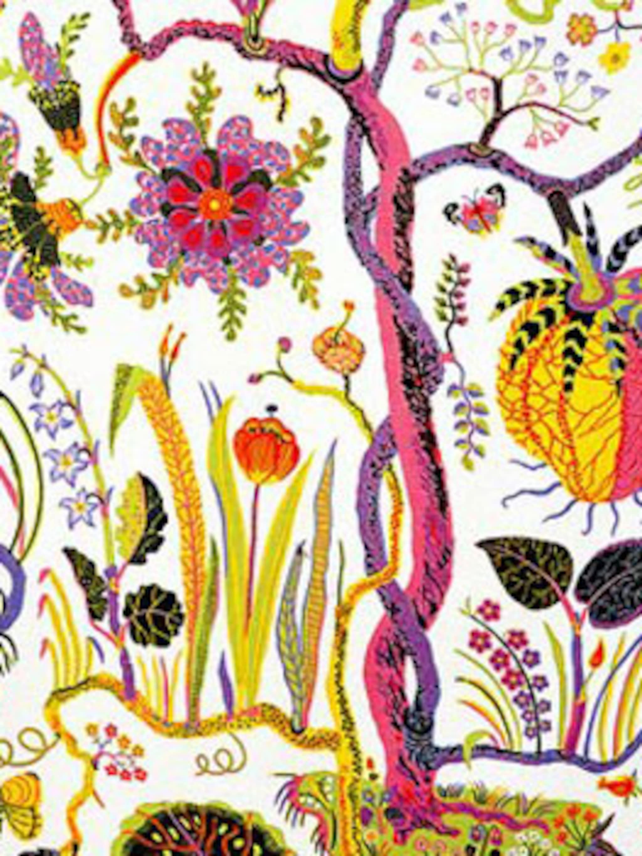 exotisch dessin