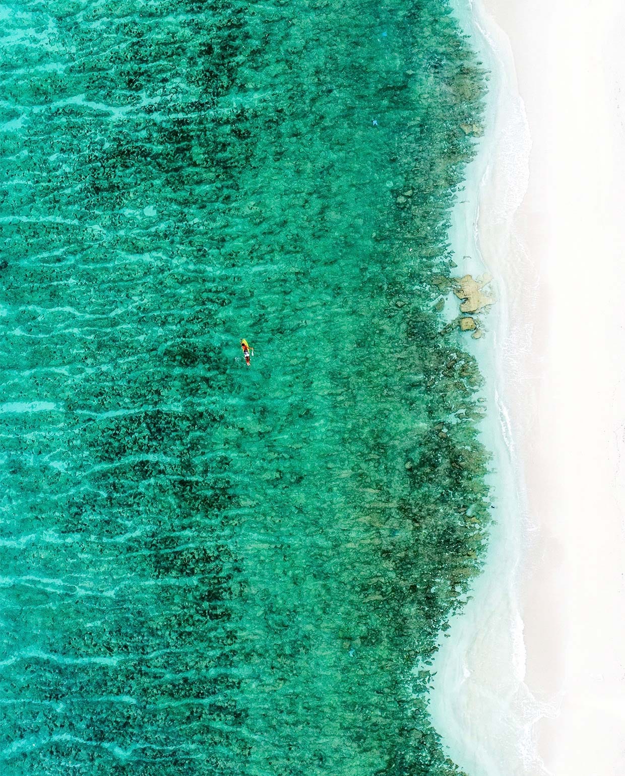 beeld vtwonen Beeld via Unsplash | fotografie Shifaaz Shamoon