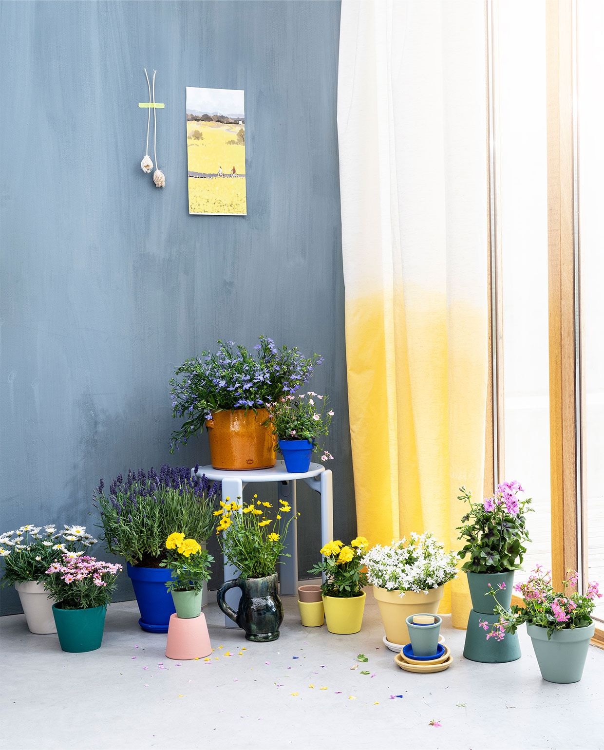beeld vtwonen JA | vtwonen 08-2022 | styling Marianne Luning | fotografie Stan Koolen