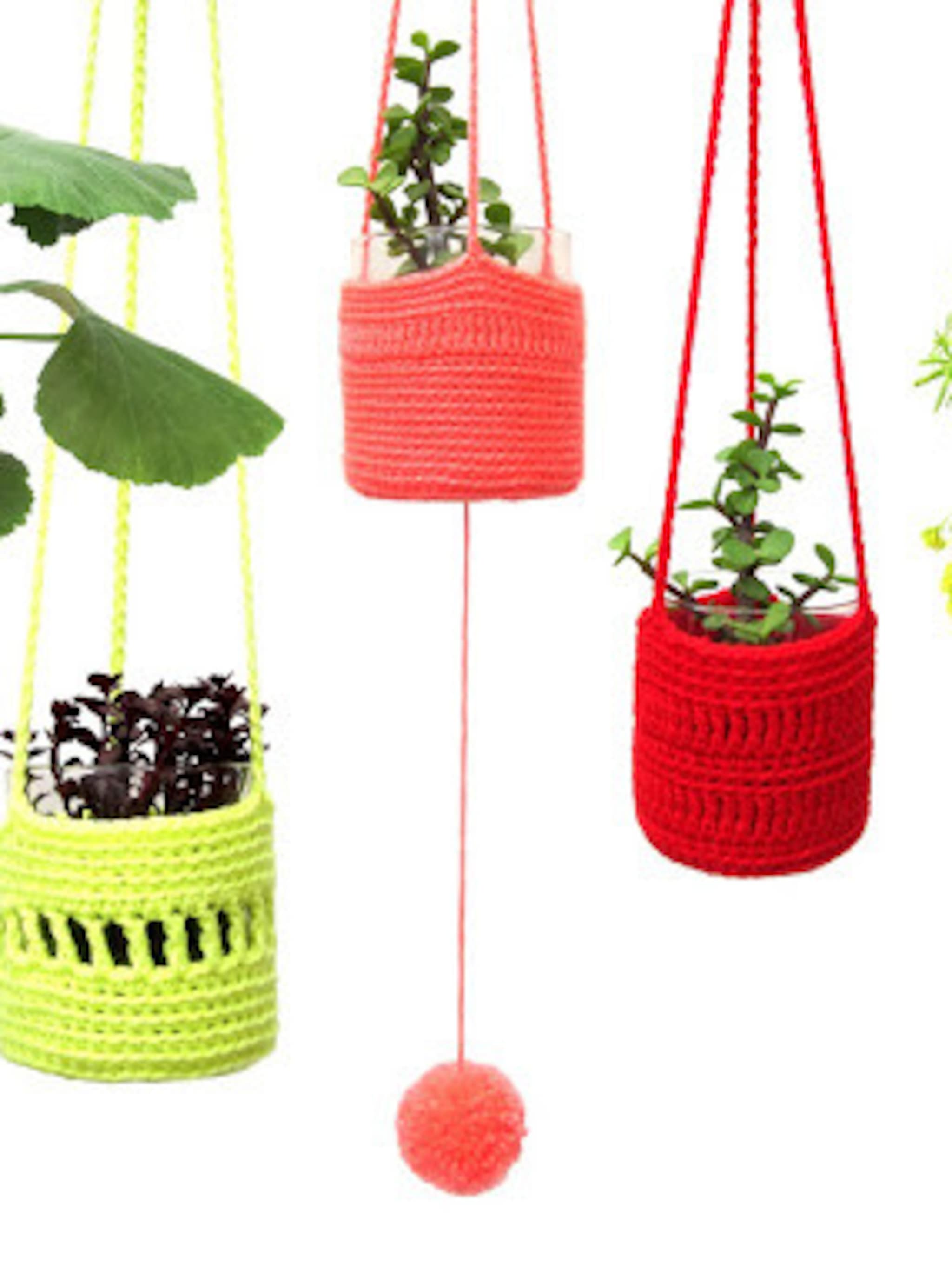 ze zijn er weer mini hangplanten