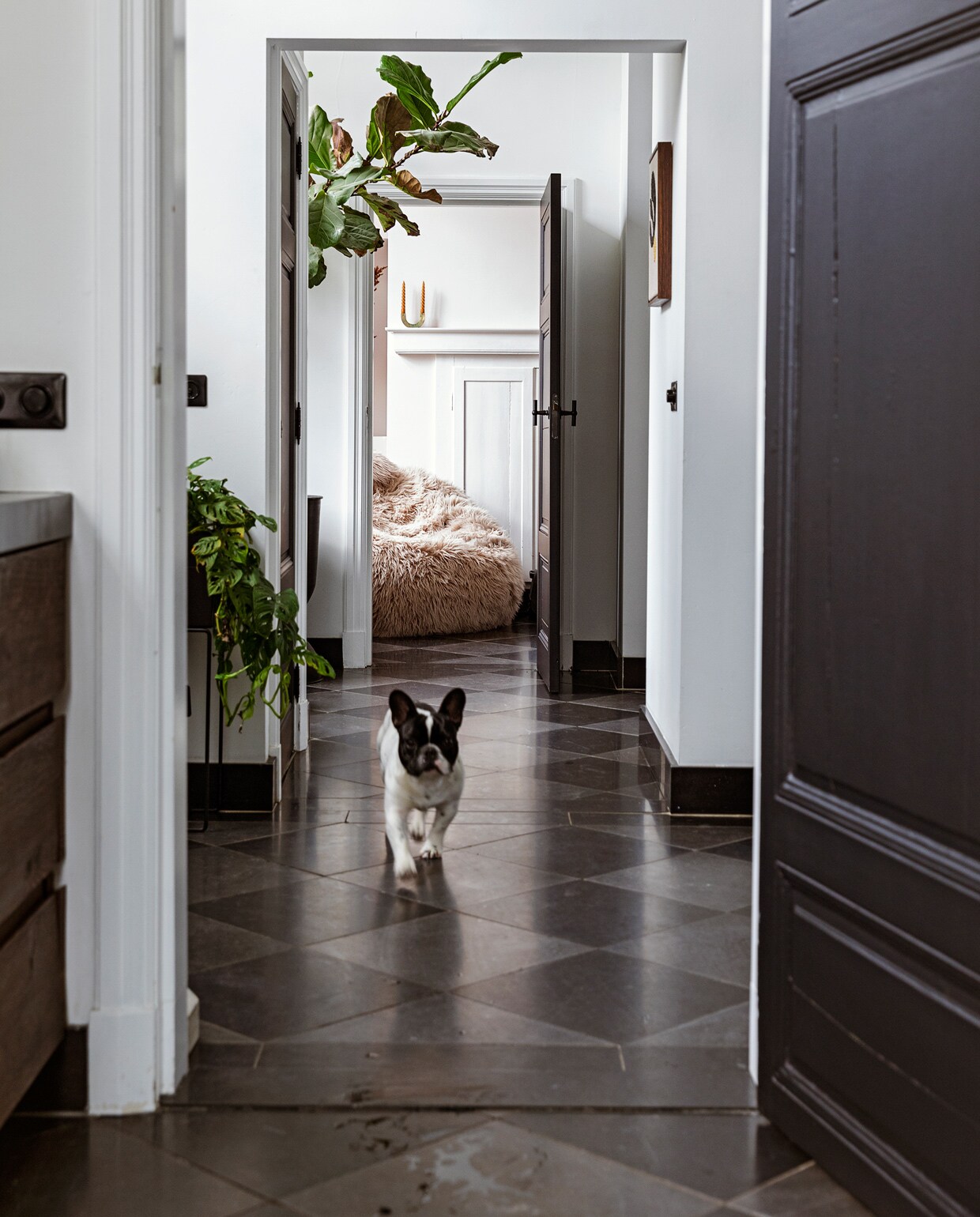 beeld vtwonen vtwonen 11-2021 | Styling ilona jongepier | Fotografie dana van leeuwen | Tekst sara madou | Visagie djolien de kreij