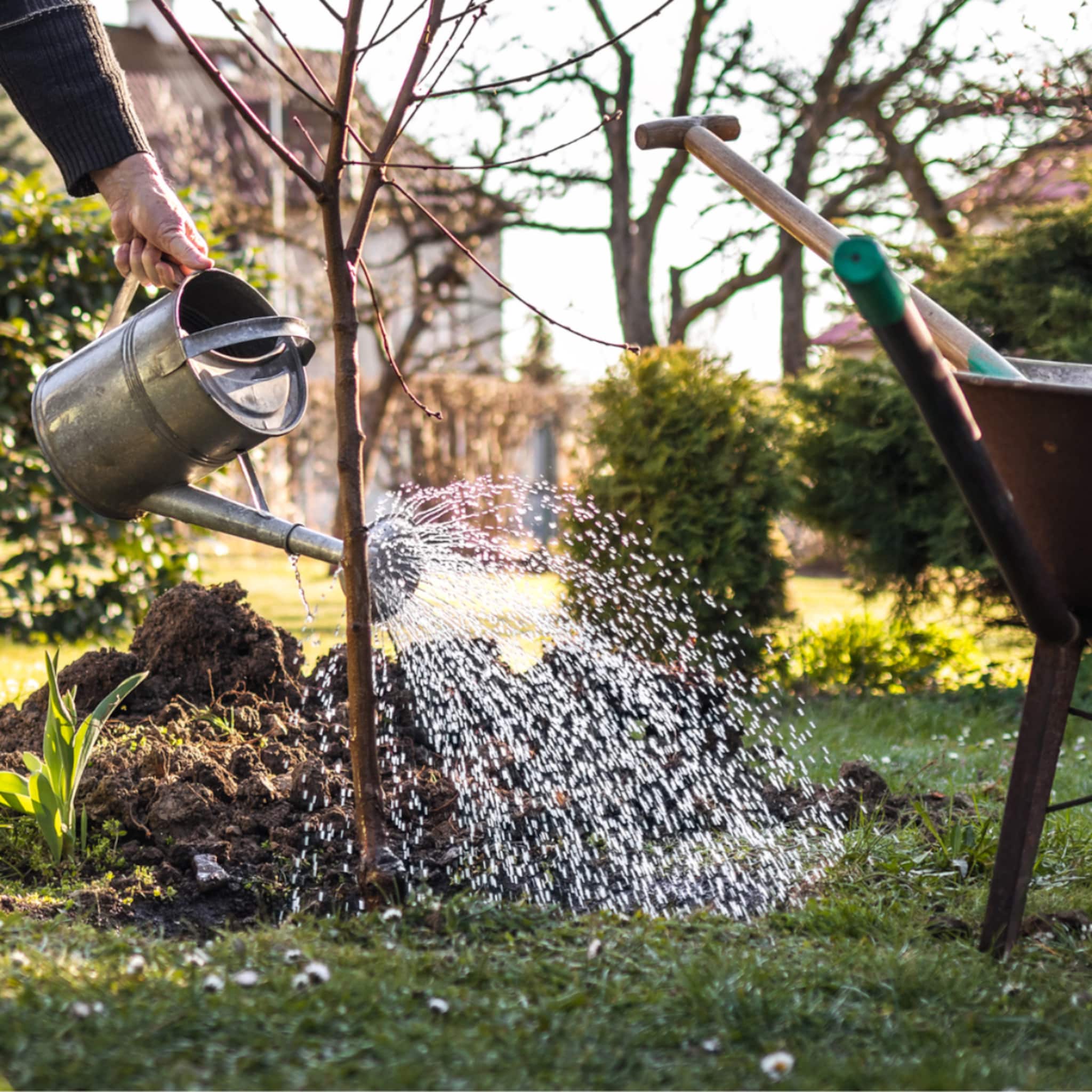 tuinonderhoud