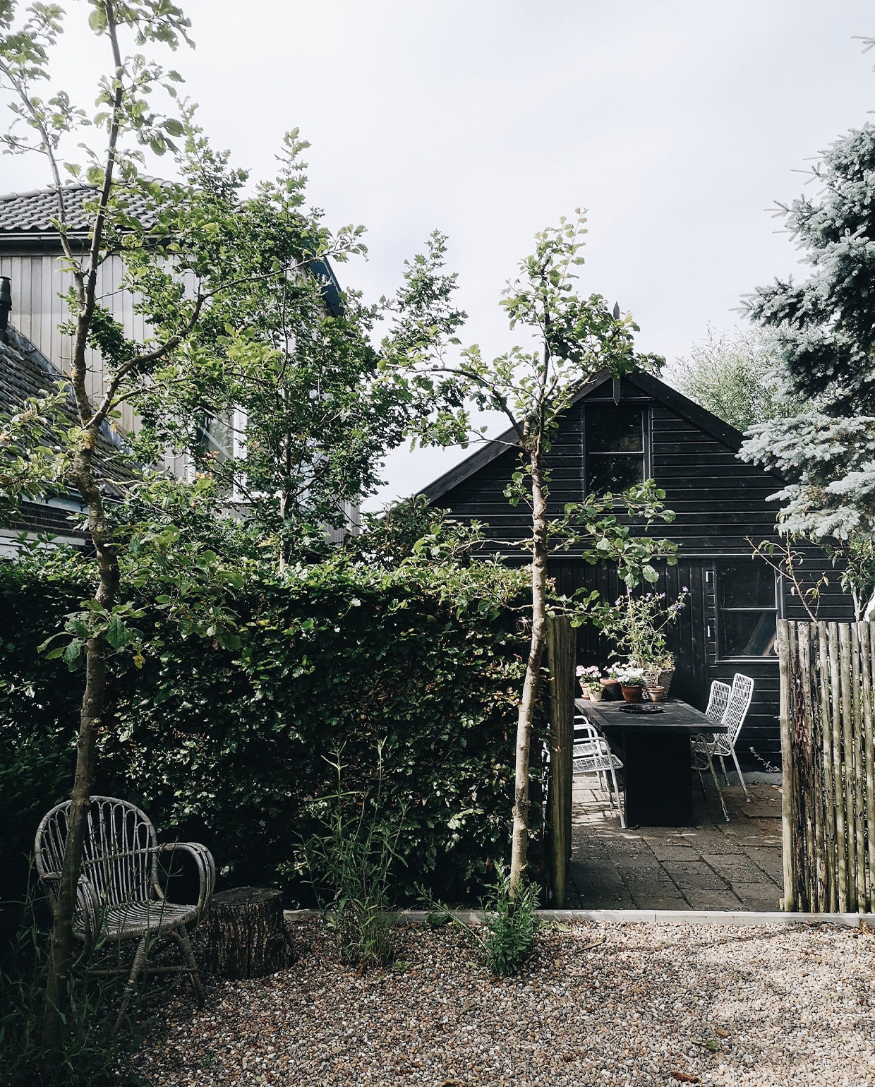 Kies voor heggen en bomen om zo meer variatie en spanning in de kleine tuin te krijgen. vtwonen tuin special 5 | styling en fotografie Vivian Hoebe